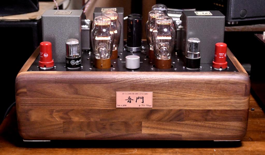 VT-62/801 para SE tube amplifier, headphone amplifier included